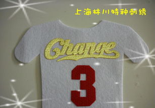 熱轉印彩色仿繡花3D印標 價格、廠家與圖片全解析