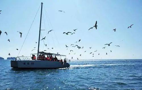 船用氣囊在船舶上排與下水作業中的核心流程與應用